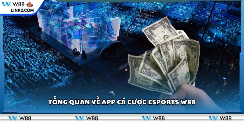 Tổng quan về app cá cược Esports W88