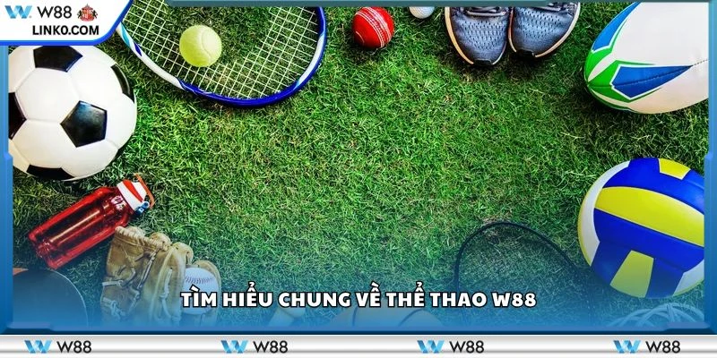 Tìm hiểu chung về thể thao W88