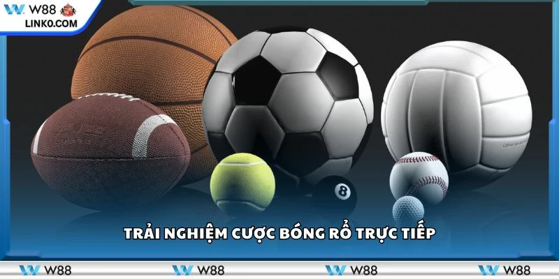 Trải nghiệm cược bóng rổ trực tiếp